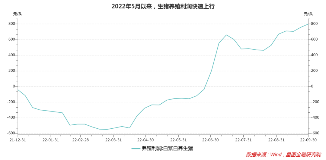 股票配资杠杆