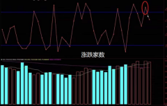 [股票配资公司官网]市场开始震荡 还能低吸吗？