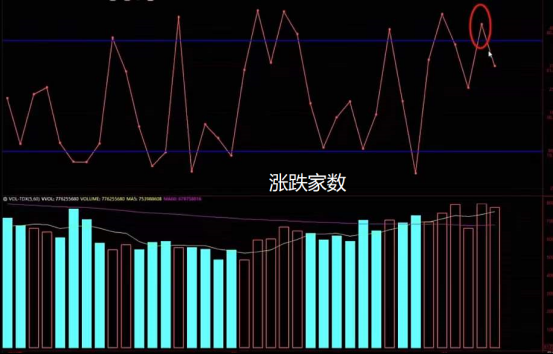 市场开始震荡 还能低吸吗？