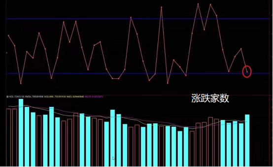 网上炒股配资