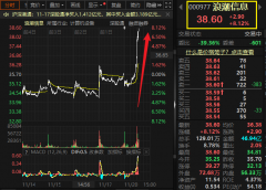 配资门户：浪潮信息午后直线拉升，现涨超6%