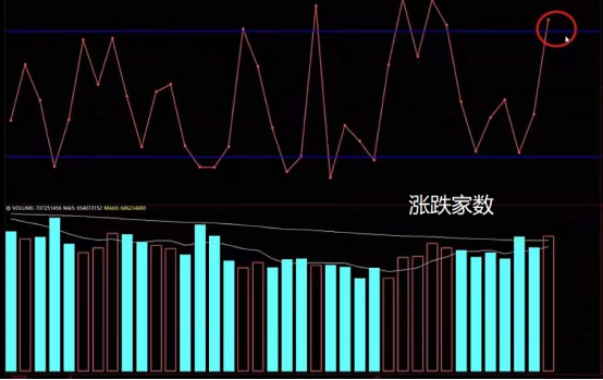 免费股票配资