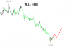 国内期货配资排名|8.23今日黄金原油走势分析策略